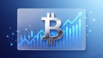 数字货币持仓全景图：谁在重仓？最新数据一览