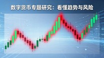 数字货币专题研究：看懂趋势与风险