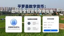 平罗县数字货币：如何安全投资与使用指南