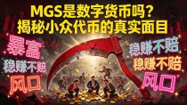 MGS是数字货币吗？揭秘小众代币的真实面目