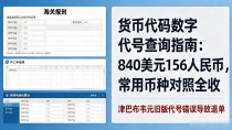 货币代码数字代号查询指南：840美元156人民币，常用币种对照全收
