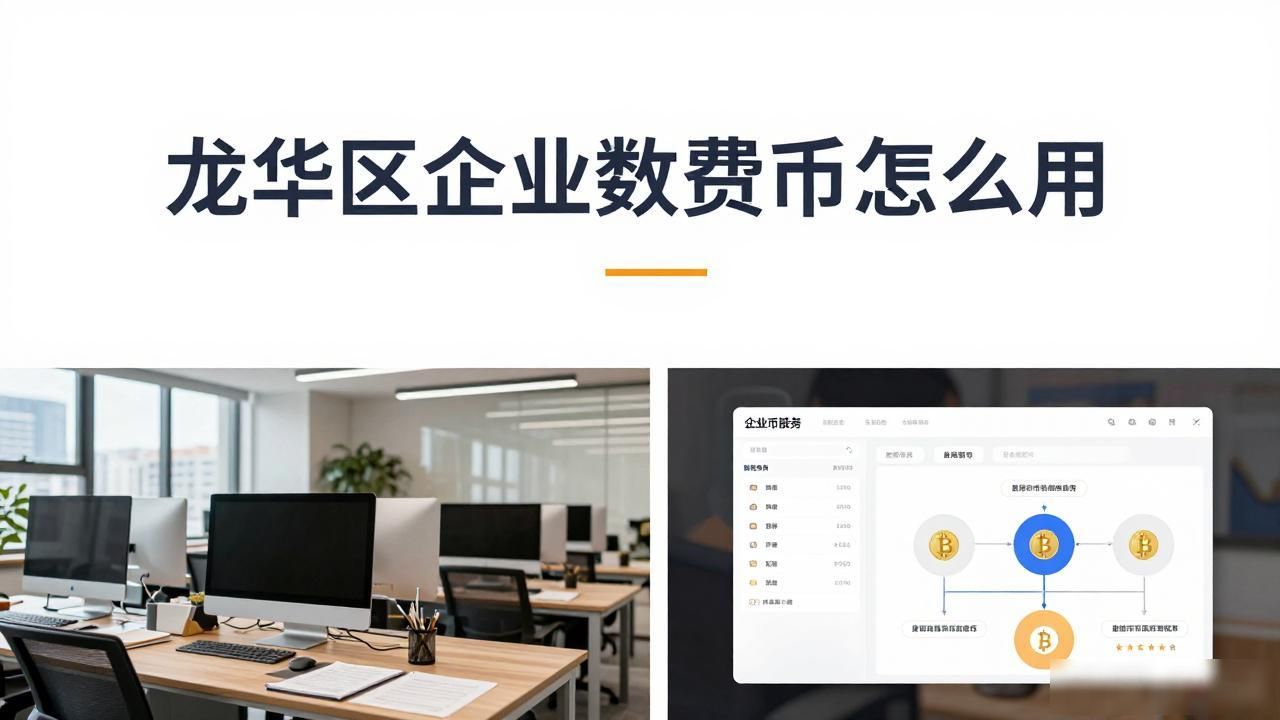 龙华区企业数字货币怎么用